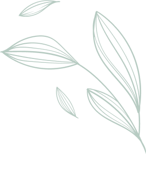 rev_slider5_vector1.png