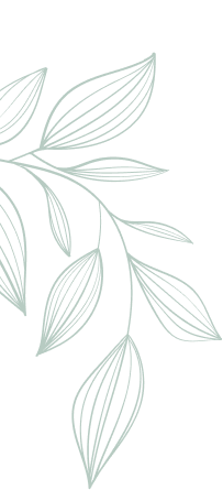rev_slider5_vector2.png