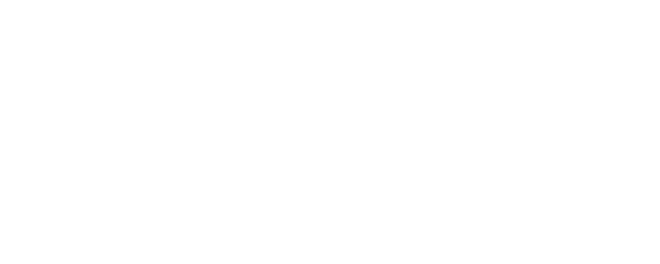 kiswa logo white